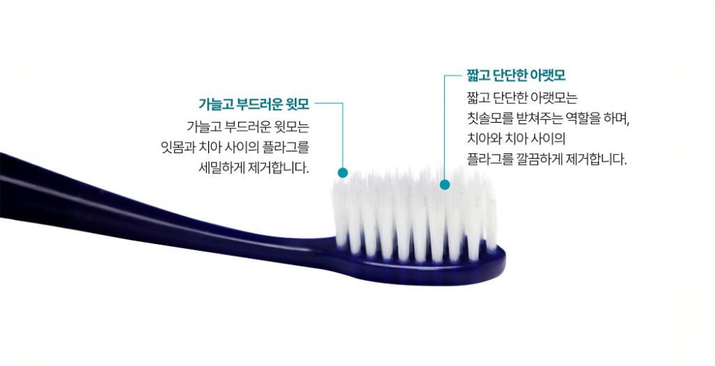 인큐텐 라보르닉 칫솔